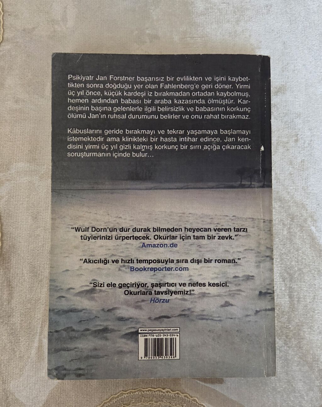 Məhsul: Kitab – “Şizofren” (Wulf Dorn) Nəşriyyat: Pegasus Janr: Roman — Kitablar, Bakı (2)