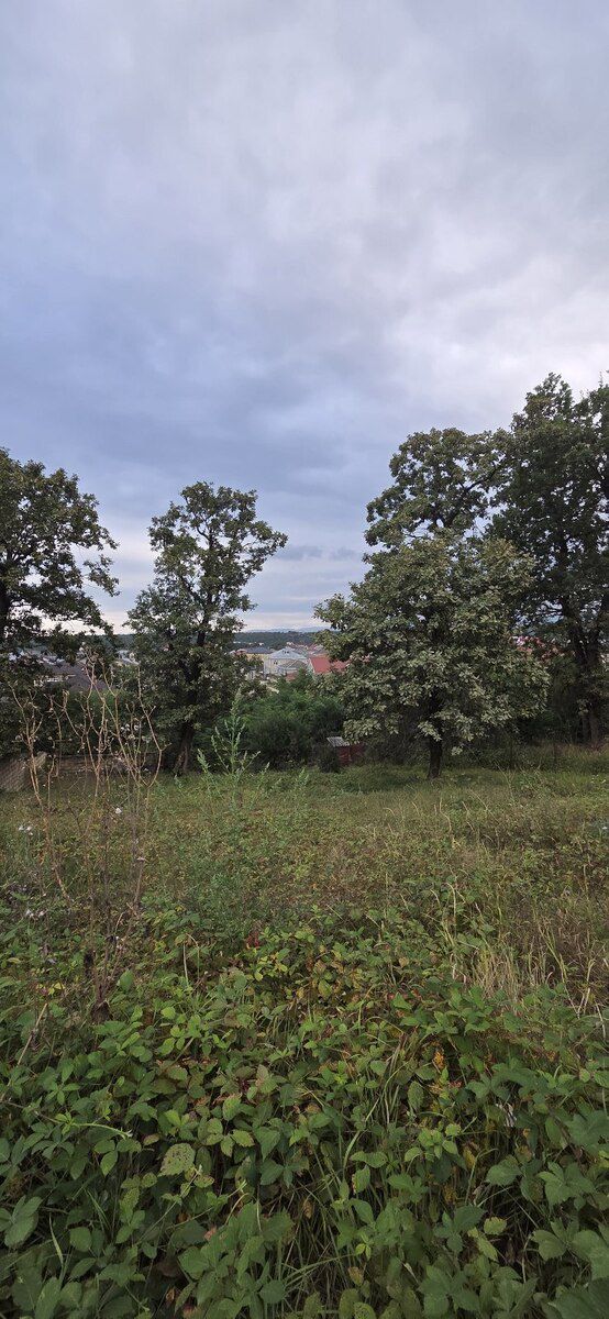 6 sot torpaq sahəsi, Qusar r — Torpaq, Qusar (3)