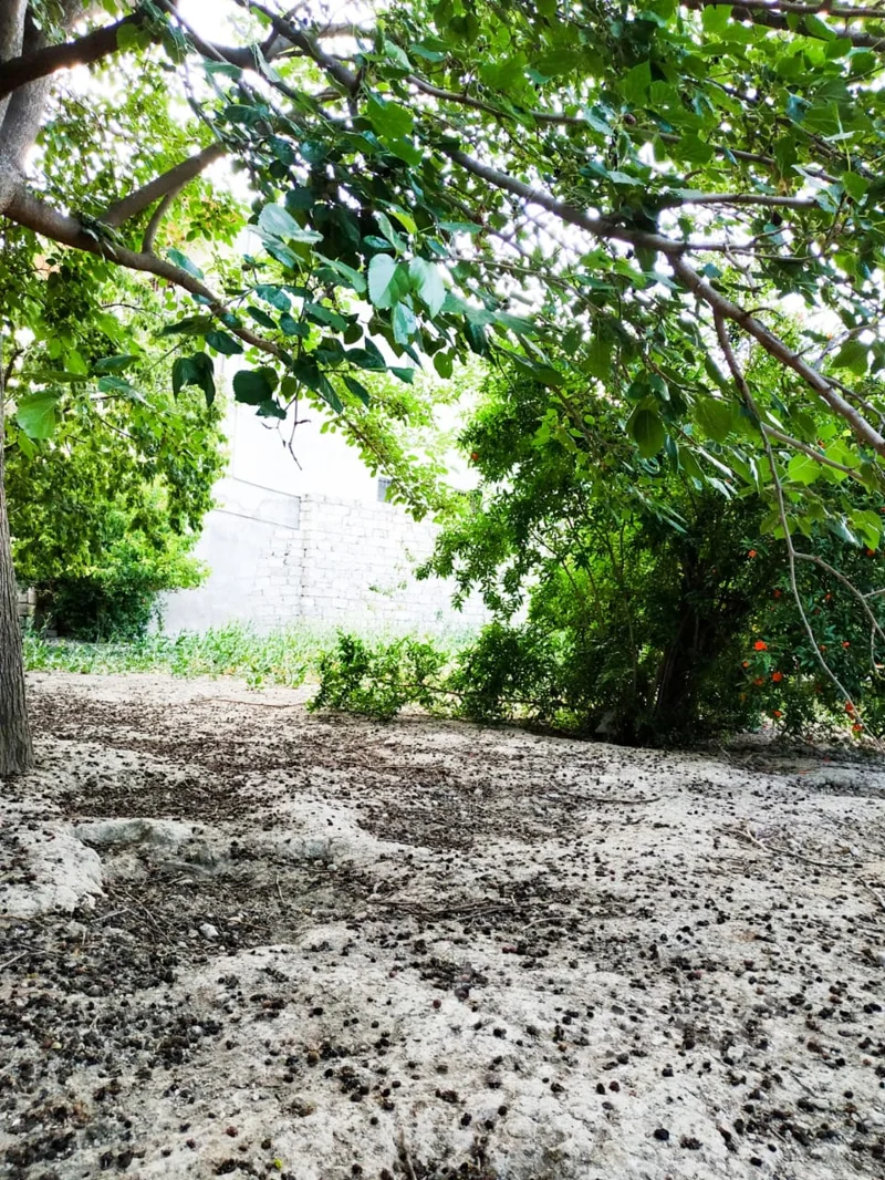 Torpaq sahəsi, 2 sot, Əli İsazadə — Torpaq, Bakı (3)