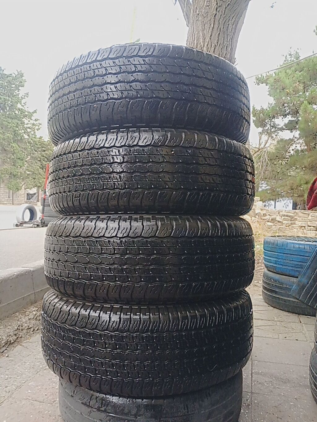 İşlənmiş Şin Toyo 265 / 60 / R 18 — Şinlər, Bakı