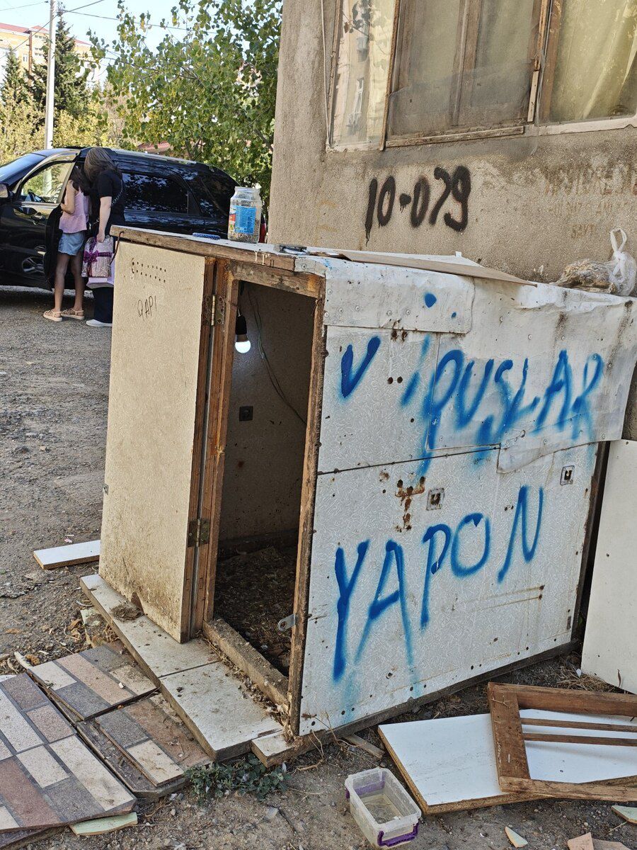 Göyərçin yuvası — Heyvan malları, Sumqayıt (2)