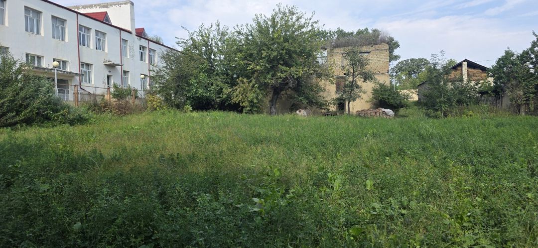 28 sot torpaq sahəsi, Quba r — Torpaq, Quba (2)