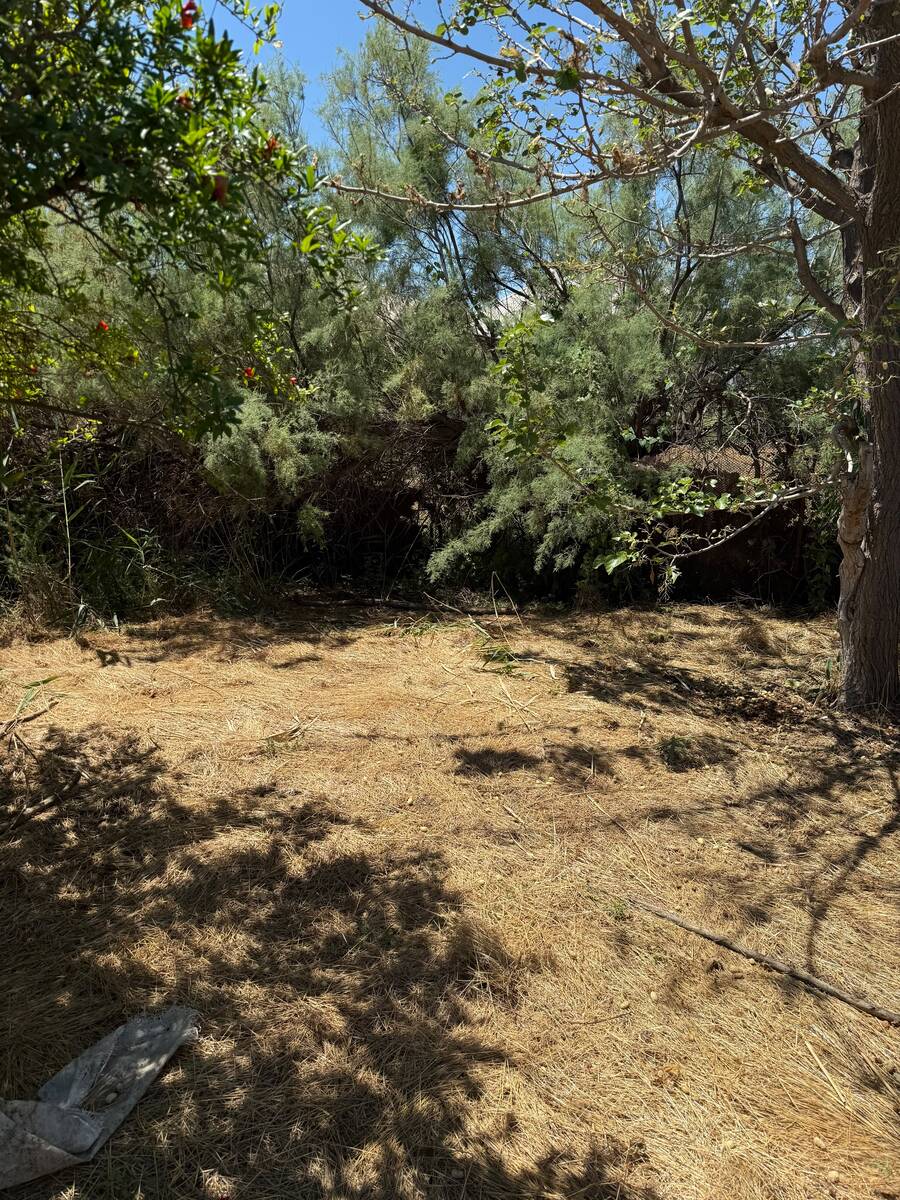 Satılır torpaq 7 sot — Torpaq, Sumqayıt (4)