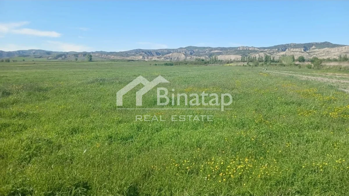 Satılır torpaq 200 sot, Ağdaş rayonu — Torpaq, Bakı (3)