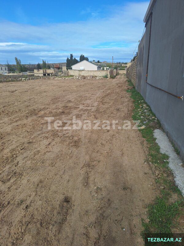Nardaran Lehic bağları — Torpaq, Bakı (2)