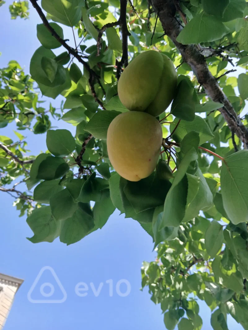9 otaqlı həyət evi, 300 m², Novxani Şossesi — Ev, villa, Bakı (9)