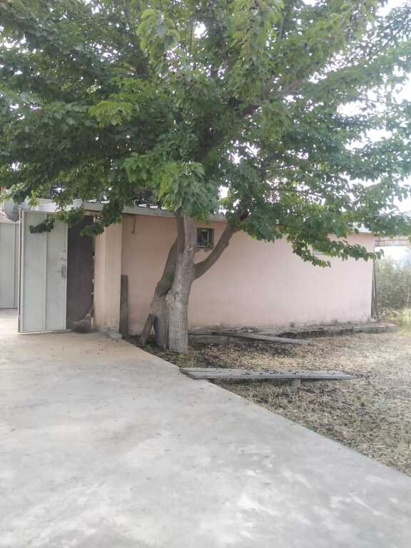 Satılır torpaq 12 sot — Torpaq, Bakı (2)