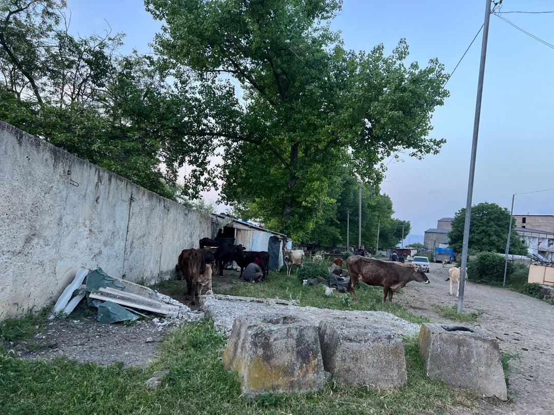 12 sot torpaq sahəsi, Gəncə ş — Torpaq, Gəncə (10)
