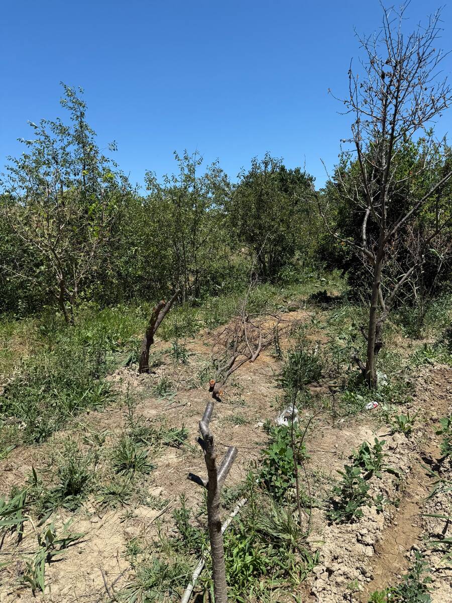 Satılır torpaq 7 sot — Torpaq, Sumqayıt (5)