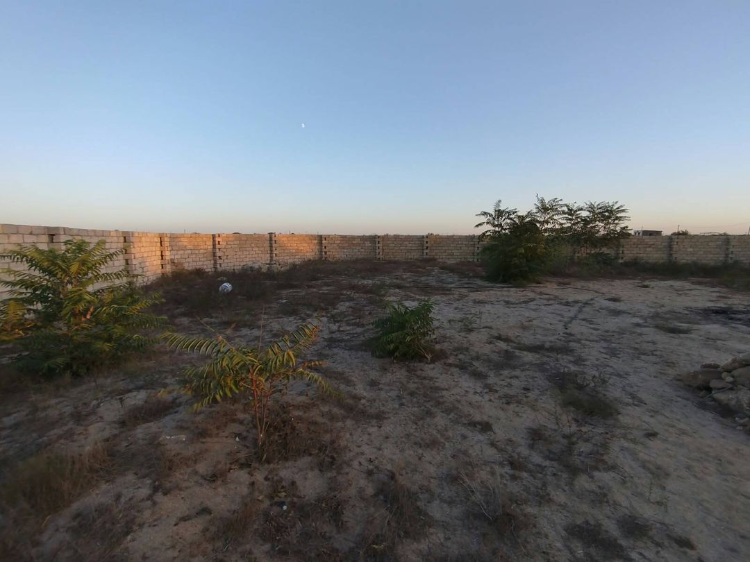 Satılır torpaq 6 sot — Torpaq, Bakı (2)