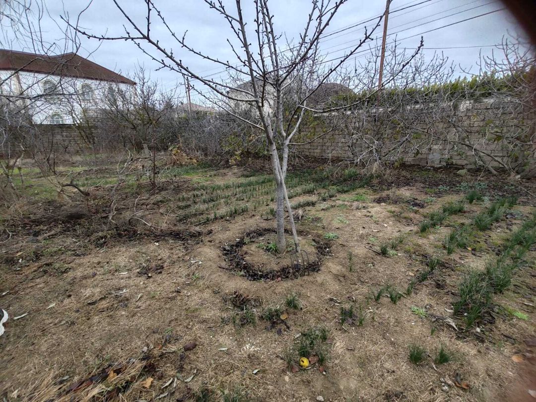 Satılır torpaq 4 sot — Torpaq, Bakı (4)