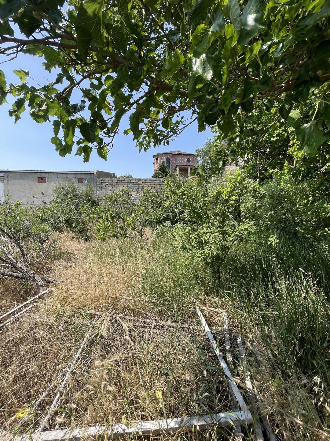 Satılır torpaq 16 sot — Torpaq, Bakı (4)