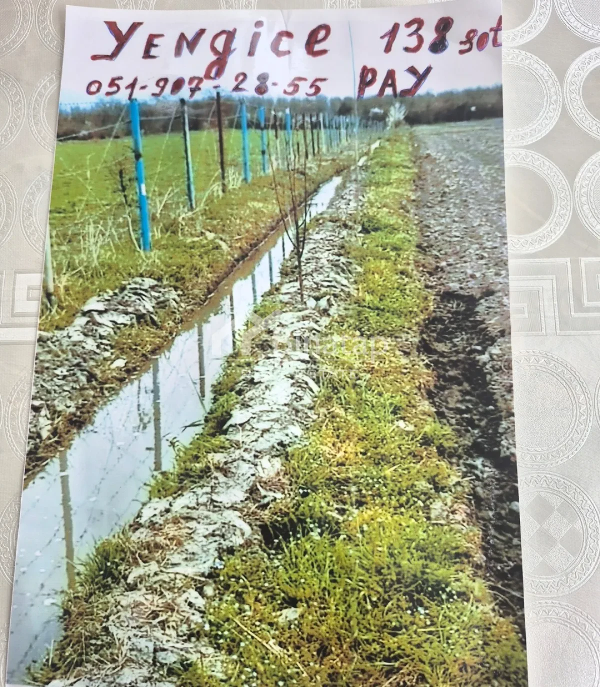 Satılır torpaq 138 sot, Qəbələ rayonu — Torpaq, Bakı (5)