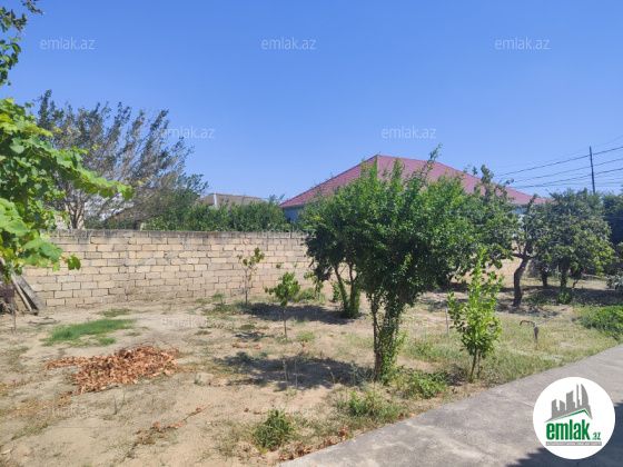 Satılır 4 otaqlı 6 m² həyət evi Saray — Ev, villa (11)