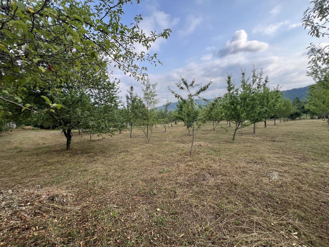 Satılır torpaq 36 sot — Torpaq, İsmayıllı (5)