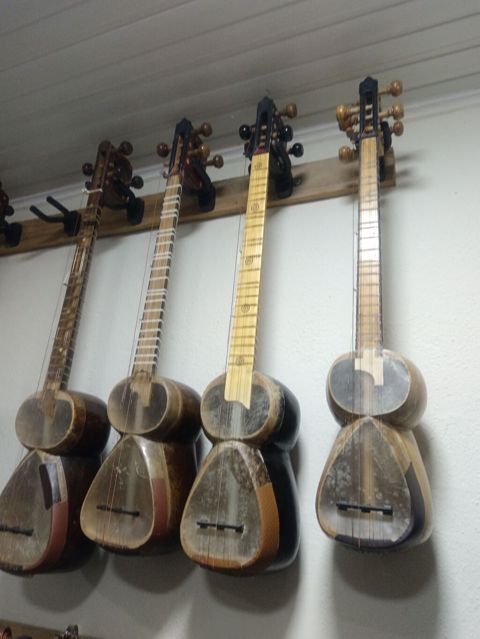 Tələbə tarları — Bakı