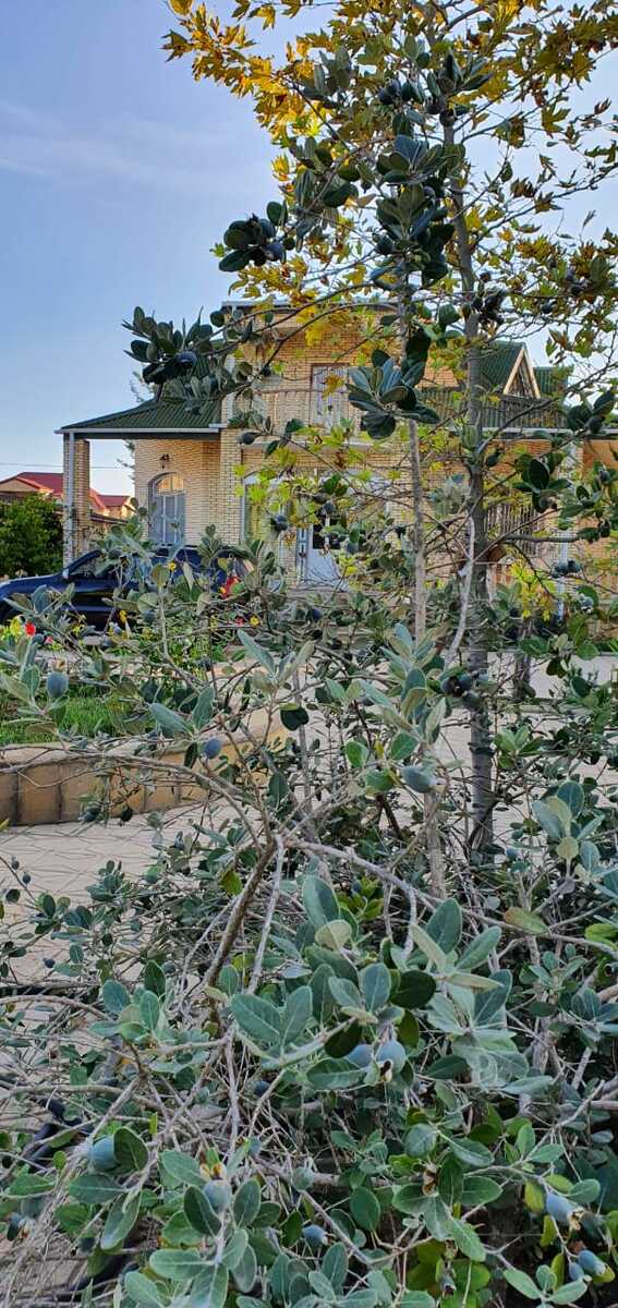 Satılır 5 otaqlı həyət evi/bağ evi 200 m² — Ev, villa, Bakı (8)