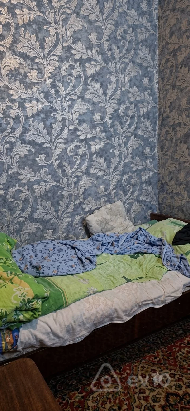 2 otaqlı həyət evi, 45 m², Nerimanov r-n E.Ebdulrehimov 26 — Ev, villa, Bakı (4)