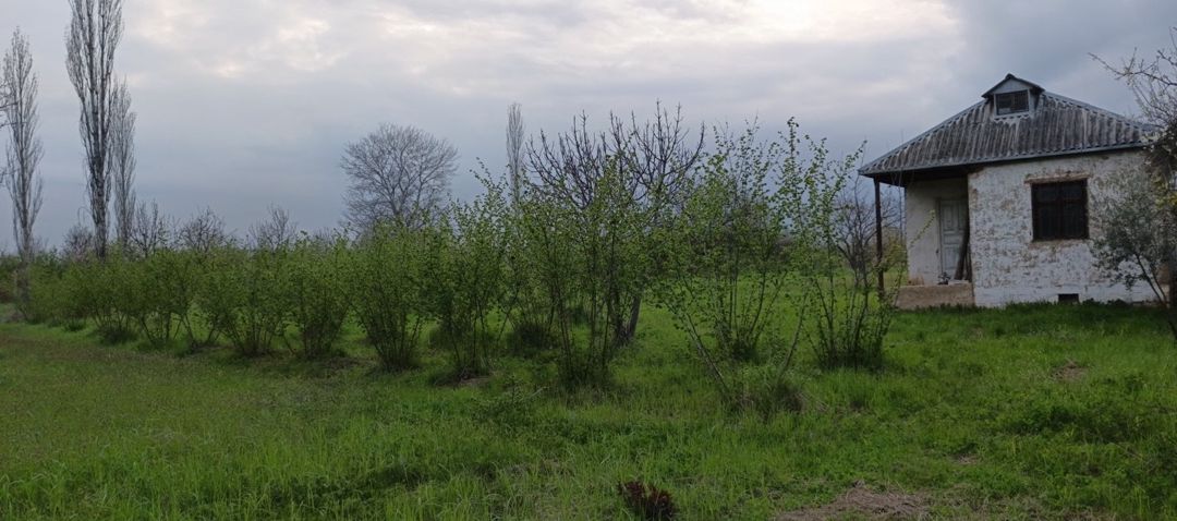 27 sot torpaq sahəsi, Xudat ş — Torpaq, Xudat (3)