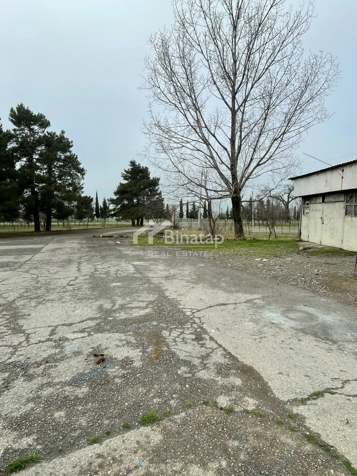 Satılır obyekt 3000 m², Oğuz rayonu — 450 000 ₼ · Bakı · Əmlak Satılır obyekt 3000 m², Oğuz rayonu — Bakı