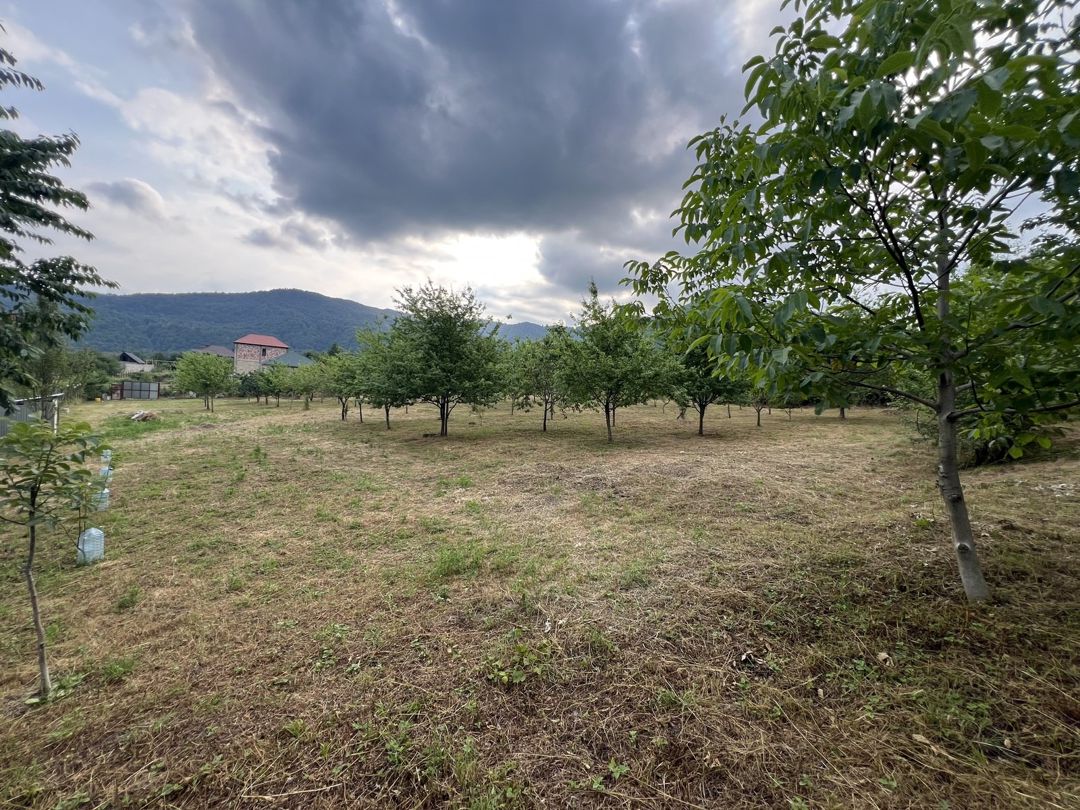 Satılır torpaq 36 sot — Torpaq, İsmayıllı (4)