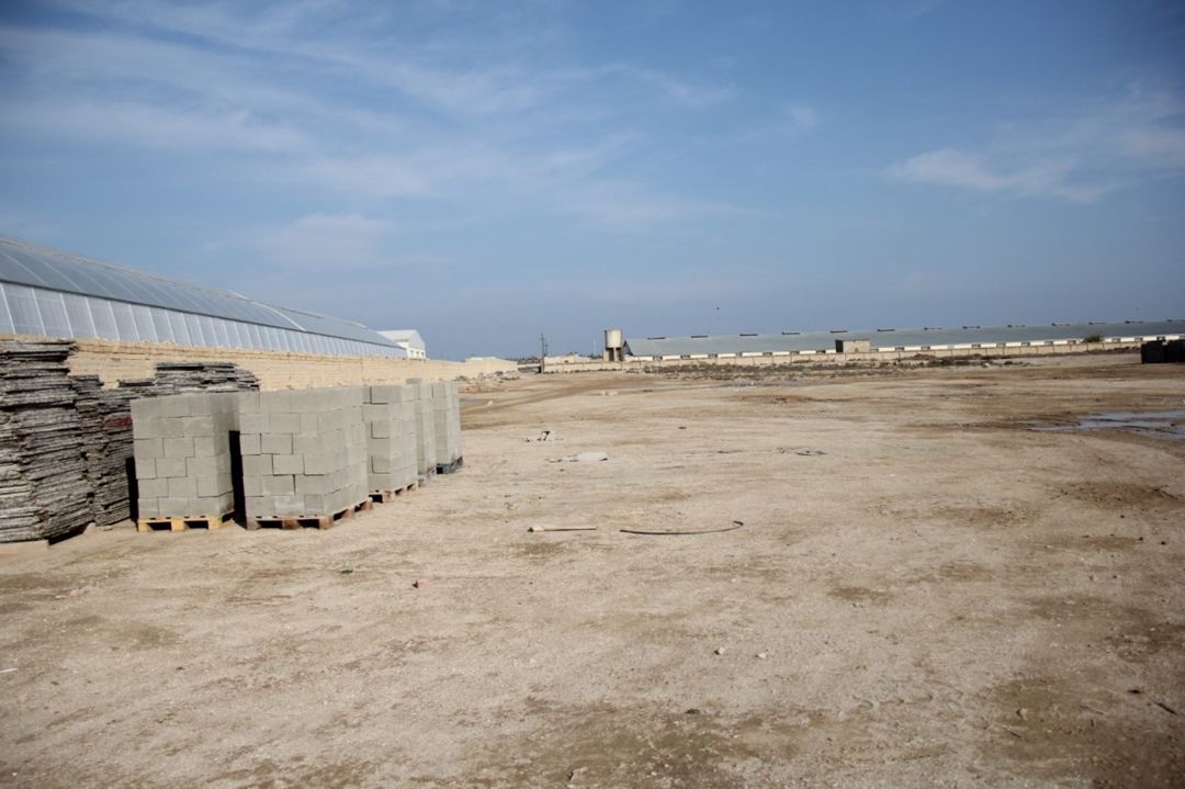 9 sot torpaq sahəsi, Şıxov qəs — Torpaq, Bakı (4)