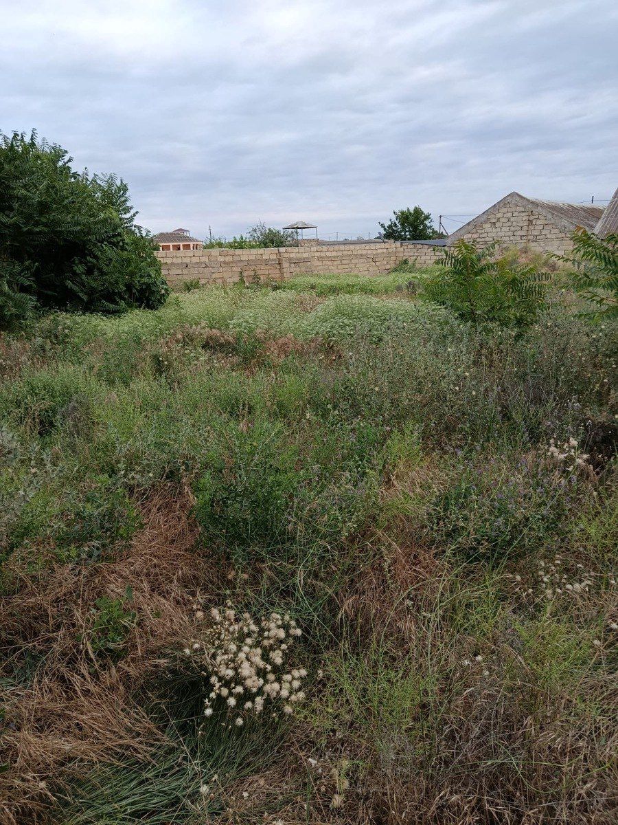 Satılır torpaq 9 sot — Torpaq, Bakı (6)