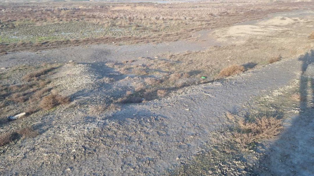 2000 sot torpaq sahəsi, Binəqədi r — Torpaq, Bakı (3)