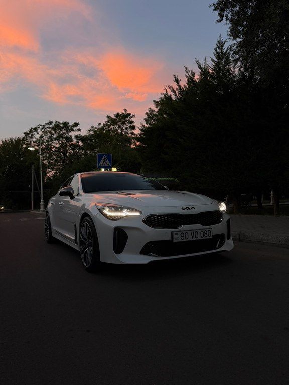 Kia Stinger, 2.0 L, 2019 il, 161 000 km 90-VO-080 — Avtomobillər, Mingəçevir (7)