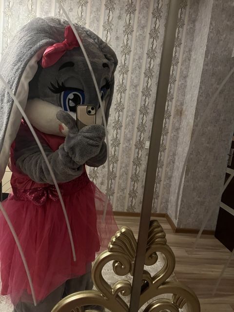 Animator paltarı kirayəsi — 35 ₼ · Bakı · Digər Animator paltarı kirayəsi — Bakı
