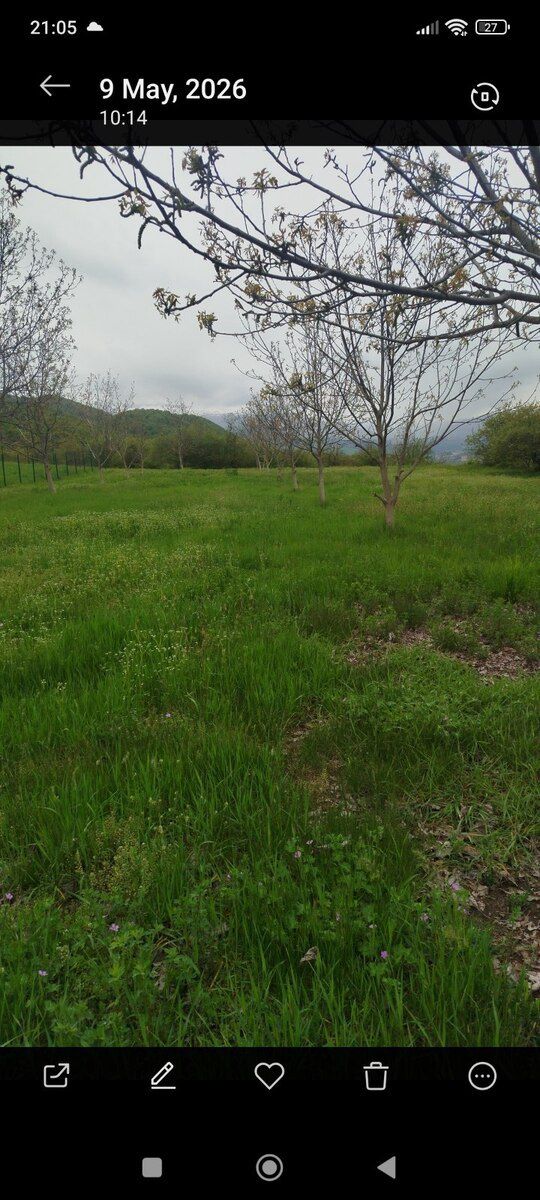 40 sot torpaq sahəsi, Qusar r — Torpaq, Qusar (8)