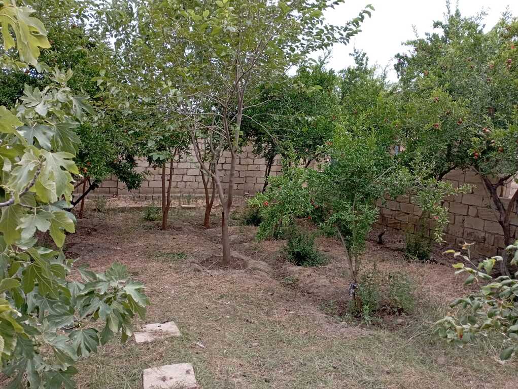Satılır obyekt 351 m² — Əmlak, Bakı (11)