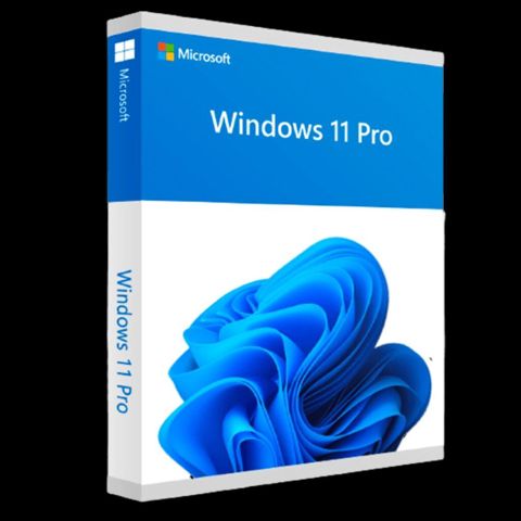 Microsoft Windows 10/11 Professional – rəqəmsal lisenziya açarı — Bakı