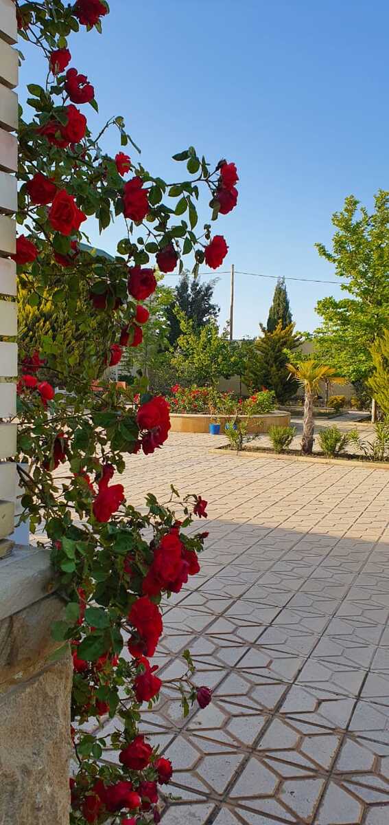 Satılır 5 otaqlı həyət evi/bağ evi 200 m² — Ev, villa, Bakı (6)