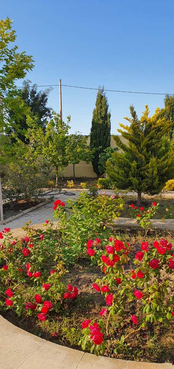 Satılır 5 otaqlı həyət evi/bağ evi 200 m² — Ev, villa, Bakı (5)