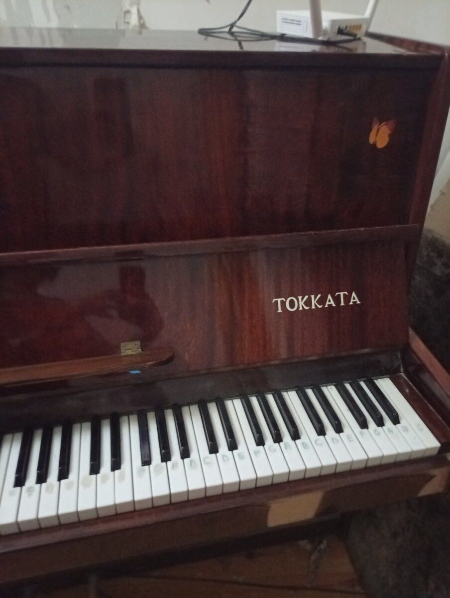 Piano — Musiqiə alətləri, Bakı (3)