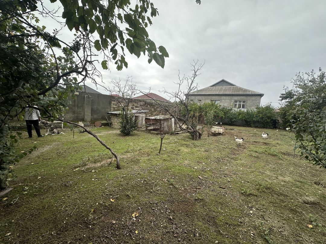 Satılır torpaq 30 sot — Torpaq, Bakı (8)