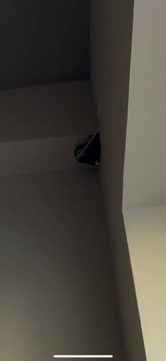 İcarəyə verilir obyekt 54 m² — Əmlak, Bakı (5)