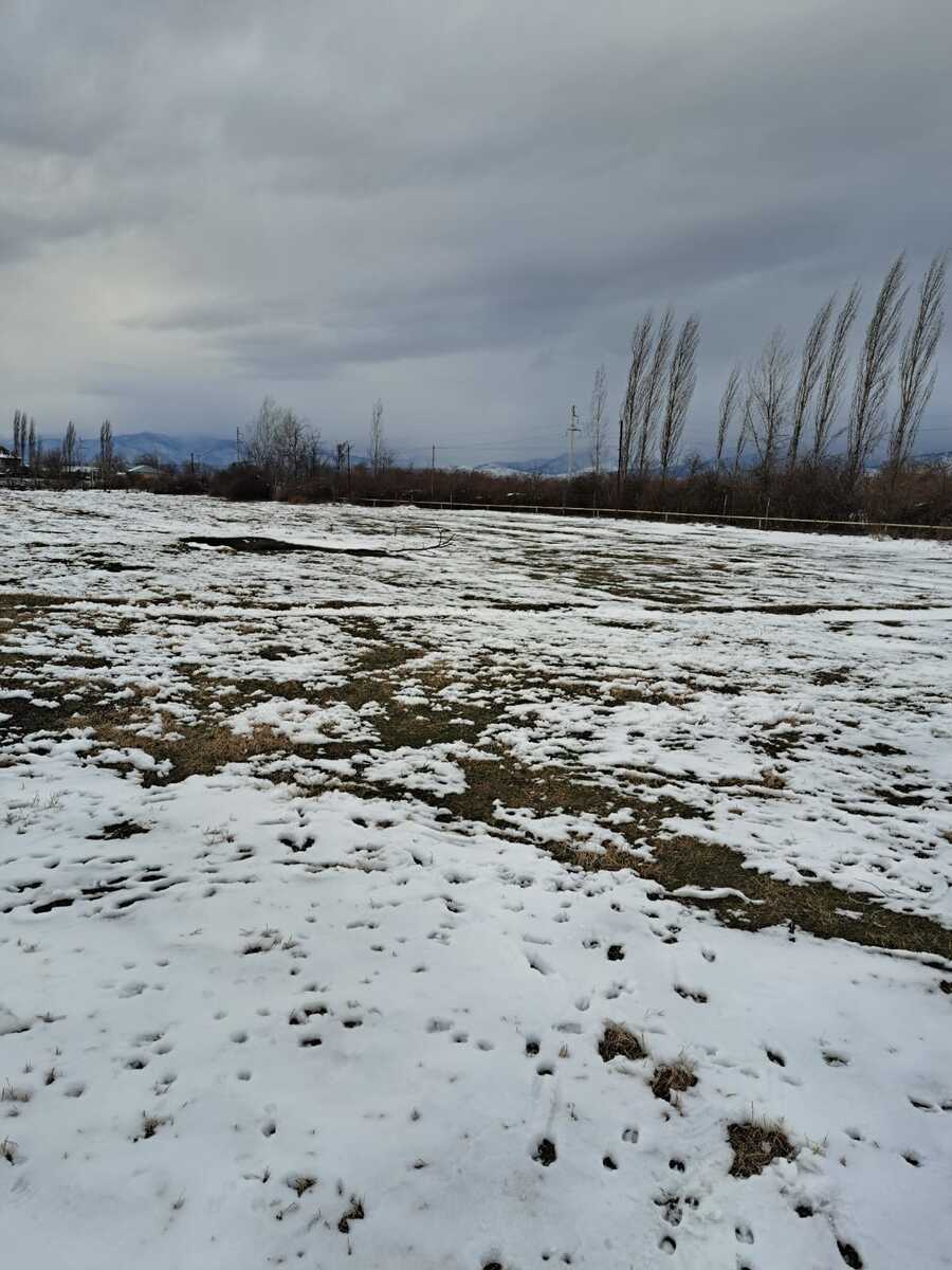 Satılır torpaq 71 sot — Torpaq, Qəbələ (4)