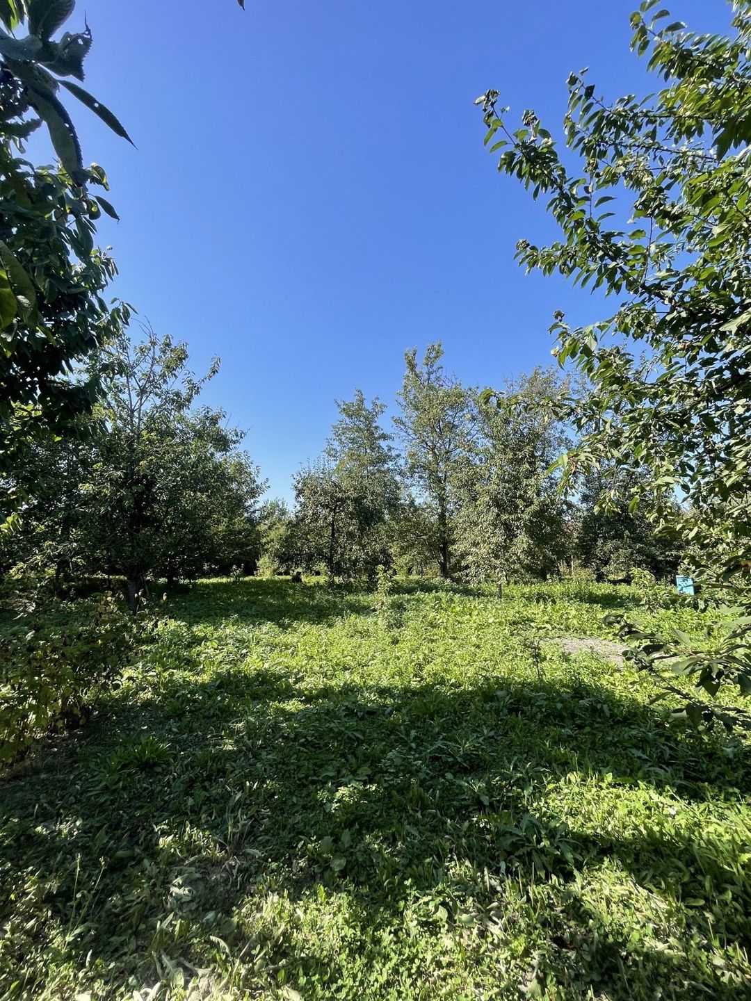 17 sot torpaq sahəsi, Quba r — Torpaq, Quba (5)