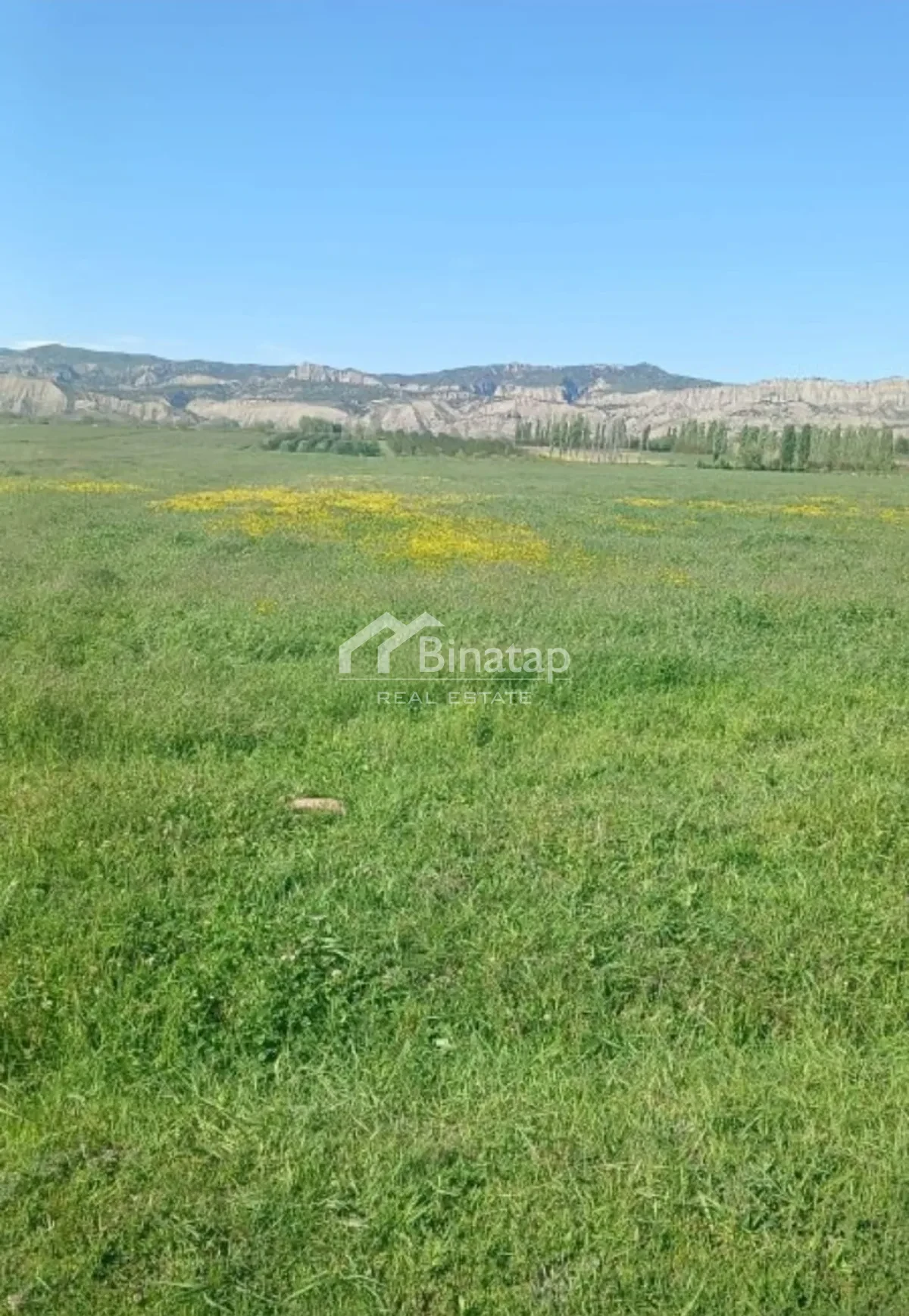 Satılır torpaq 200 sot, Ağdaş rayonu — Torpaq, Bakı (2)