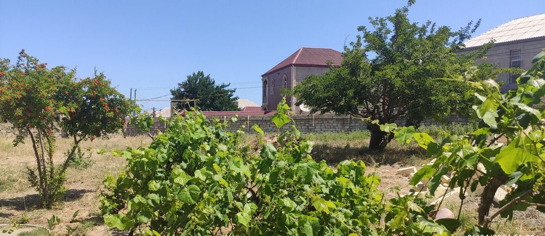 Satılır torpaq 4.3 sot — Torpaq, Sumqayıt (3)