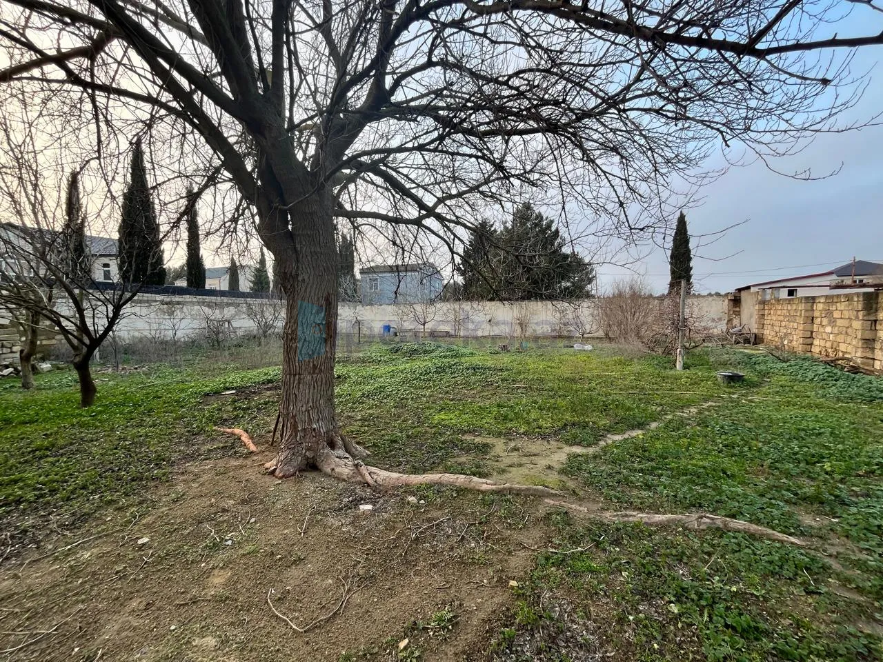 Satılır: 3 Otaq, Evlər/Villalar, Xəzər r., Buzovna q., 80.00 m² — Ev, villa, Buzovna (4)