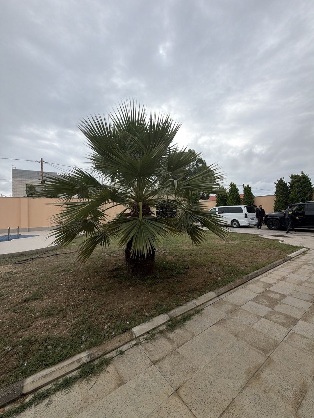 Satılır 6 otaqlı həyət evi/bağ evi 200 m² — Ev, villa, Bakı (10)