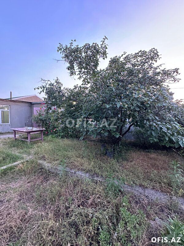 Həyət evləri Satılır Xəzər r., Buzovna q., 4 otaq, 100 m² — Ev, villa, Bakı (2)