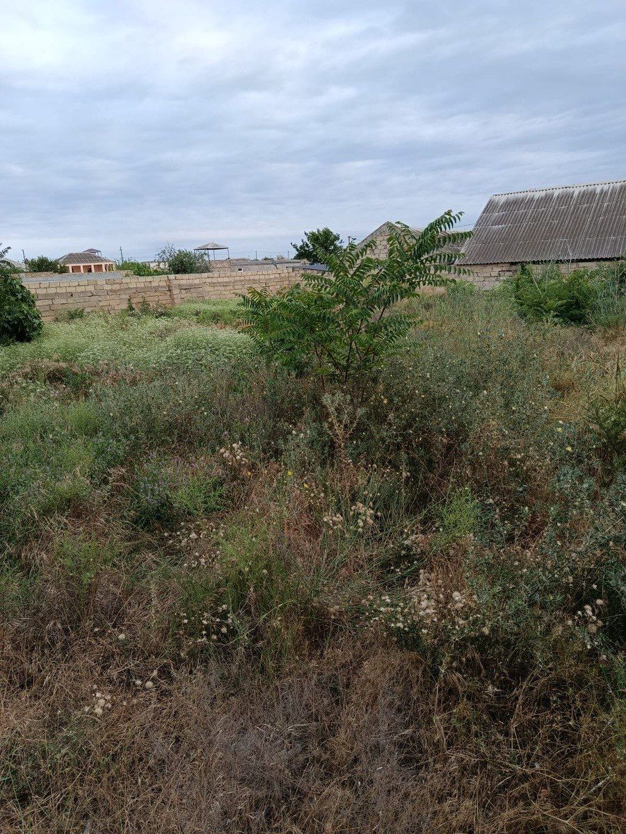 Satılır torpaq 9 sot — Torpaq, Bakı (4)