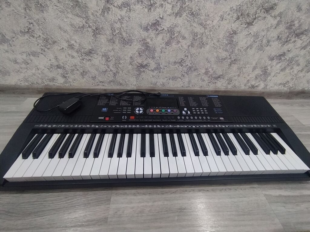 Elektron sintezator – 61 klaviş - 61 ədəd tam ölçülü klaviş - Üst — Pianino və digər klaviş alətləri, Bakı (2)