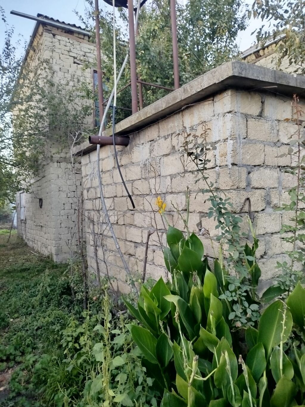 Satılır: kənd həyəti olan kərpic ev və fındıq bağı - İki mərtəbəli — Ev, villa, Xaçmaz (2)