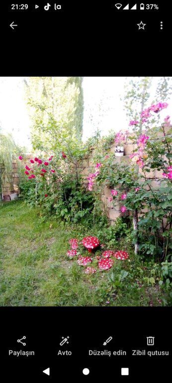 Bağ evi kirayə verilir, Quba r — Ev, villa, Quba (9)