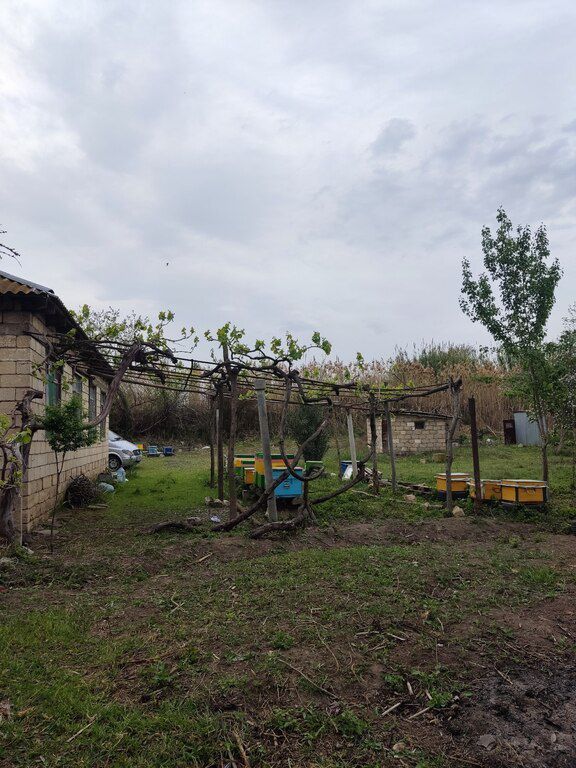 Həyət evi, İmişli r — Ev, villa, İmişli (7)